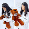 Appearing Teddy Bear