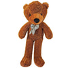 Appearing Teddy Bear