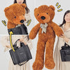 Appearing Teddy Bear
