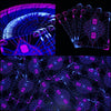 Gift Box - 2 Decks & UV Lamp
