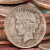 Mini Peace Dollar (pack Of 5 Coins)