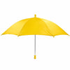 Parasol Picture Frame