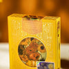 Van Gogh V2 - Standard Edition