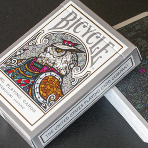 Bicycle Owl V2 Castle Back Magic Dream