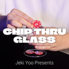 C.T.G. (Chip Thru Glass)