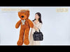 Appearing Teddy Bear
