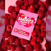 Raspberry Snackers V4