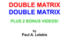 DOUBLE MATRIX by Paul A. Lelekis Mixed Media DOWNLOAD