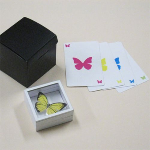 Comment faire des boites en carton ? - Butterfly Packaging