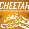 Cheetah