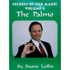 Palmo, The Laflin Silk series - 4 Video DOWNLOAD