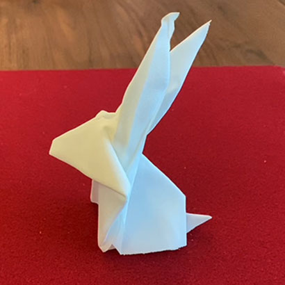 Origami Rabbit by Alan Wong - Trick – Magic Dream