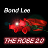 THE ROSE 2.0 - Apparition de 4 roses rouges