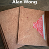 Tyvek Card Envelopes 10 pk. BROWN by Alan Wong- Trick